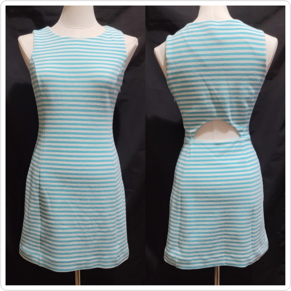 NWT Lilly Pulitzer Shorely Blue Ottoman Stripe Dress size M